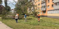 Сотрудники бюджетных организаций Альметьевска проводят уборку улиц города - Альметьевский район
