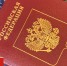 Обновили порядок получения загранпаспорта для брянцев за границей - БрянскToday.Ru