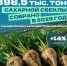 Почти 400 тысячи тонн сахарной свеклы собрали в Тульской области - ТК Первый Тульский