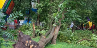 В Ростове повреждены 14 детских садов и 16 школ из-за урагана - Bloknot-Rostov.Ru