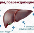 . - Кожно-венерологический диспансер