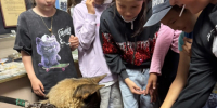 JPG Файл - УМВД Чукотского АО 