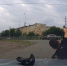 JPG Файл - МУ МВД "Красноярское" 