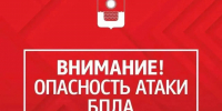 В Геленджике утром 27 июля ввели опасность БПЛА - SochiStream.Ru