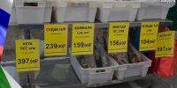 «Рыбная лавка» со свежим уловом отправится  в Хабаровском крае по новому адресу - ИА Хабаровский край сегодня