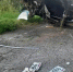 Фото Госавтоинспекции Тюменской области, автор неизвестен - Tumentoday.Ru