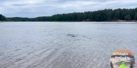 На озере Омчино поисковики нашли тело утонувшей девочки - видео - 47Channel.Ru