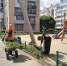 В Сосновском округе школьники работают в трудовых отрядах - Сосновская нива