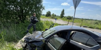 За сутки в Ленинградской области ликвидировано 11 пожаров - Online47.Ru