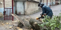 В Ульяновске ветер повалил деревья на три автомобиля и снес кровлю дома - Ульяновск сегодня