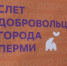 В Перми прошел первый городской слет добровольцев - Business Class