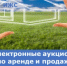 Об электронных аукционах  по аренде и продаже земли для ИЖС - Министерство по управлению госимуществом