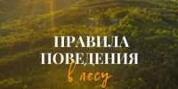 Берегите лес! - Дюртюлинский район