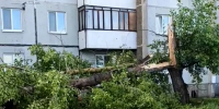 Молния расколола дерево на три машины, град застал людей на станции: непогода прошлась по Хакасии - Республиканская телевизионная сеть