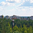 Вскоре градус начнёт падать - Chepetsk.ru