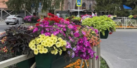 фото с сайта Администрации города Ставрополя - НИА-Кавказ - Ставрополь