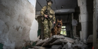 В Донецкой Народной Республике служебная собака Росгвардии помогла задержать подозреваемого в преступлении - Росгвардия