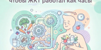 Пирамида правильного питания:  как выстроить рацион, чтобы ЖКТ работал как часы - Народное слово
