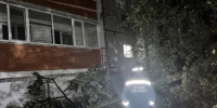 Ветер в Ульяновске повалил деревья и сорвал крыши - Ulpravda.Ru