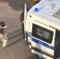 В Янино-1 задержали подозреваемого в убийстве женщины после бытового конфликта - Online47.Ru
