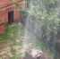 Фото: читательница «МОЁ!» - МОЁ! Online