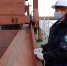 Астраханская область экспортировала в Иран более 27 тысяч тонн кормов - Газета Волга