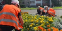 Более 4,5 тысячи подростков Оренбуржья нашли работу с начала лета - Правительство Оренбургской области