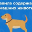 ПАМЯТКА о  требованиях и правилах по содержанию домашних животных. - Макушинский муниципальный округ