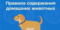ПАМЯТКА о  требованиях и правилах по содержанию домашних животных. - Макушинский муниципальный округ