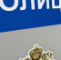 Житель Рузаевского района Мордовии украл у сестры ювелирные украшения с помощью топора - Pg13.Ru
