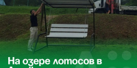 На озере лотосов в Артёмовском появилась пергола-качели. - Администрация Артёмовского городского округа