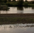 image - GazetaRB.Ru