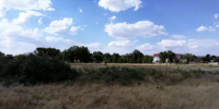 Прогноз санитарного и лесопатологического состояния лесов Республики Калмыкия на второе полугодие 2026 года - Рослесозащита