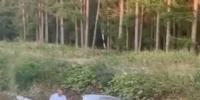 Легковушка под Казанью влетела в шумозащитный экран, шесть человек пострадали - TatPressa.Ru