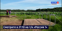 По поручению Губернатора возле озера лотосов, одного из «Семи чудес» края, завершили благоустройство - ГТРК Дальневосточная