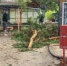 Энергетики полностью восстановили электроснабжение в Краснощековском районе после урагана - Bankfax.Ru