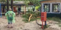 Энергетики полностью восстановили электроснабжение в Краснощековском районе после урагана - Bankfax.Ru