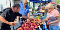 В Адыгее Роспотребнадзор проверил качество плодоовощной продукции - ИА Адыгея Сегодня