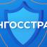 ООО СК «Ингосстрах-М» организует выездное обслуживание для жителей Кировского округа. - Кировский муниципальный округ
