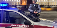 Сотрудники Росгвардии на территории Государственного Эрмитажа задержали неадекватного гражданина и передали его медикам - Росгвардия
