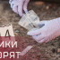 Сюжет РГВК Дагестан посвященный празднованию Дня работников следственных органов - Следственный комитет