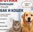 Позаботьтесь о здоровье питомцев! - Газета Шелеховский вестник