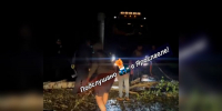 В Ярославской области бушевала непогода с градом и сильным ветром - ГТРК