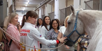 - Пока он в строю — она на лошади: история женской стойкости: - Газета Грани