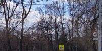 Фото: отдел информационной политики администрации Абакана - НИА Хакасия
