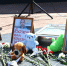 В Карасукском округе почтили память детей-жертв войны в Донбассе - Карасукский район