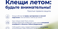Молодежка предупреждает: клещи – опасность для вас и вашего питомца - Технологический университет