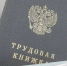 В Приамурье ИП оштрафовали за обман прокуратуры и теневую работу - ИА Порт Амур