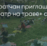 Поделитья во ВКонтакте - Братская Студия Телевидения