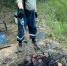 В Нижневартовском районе штрафуют жителей за шашлыки на природе - ИД Новости Югры